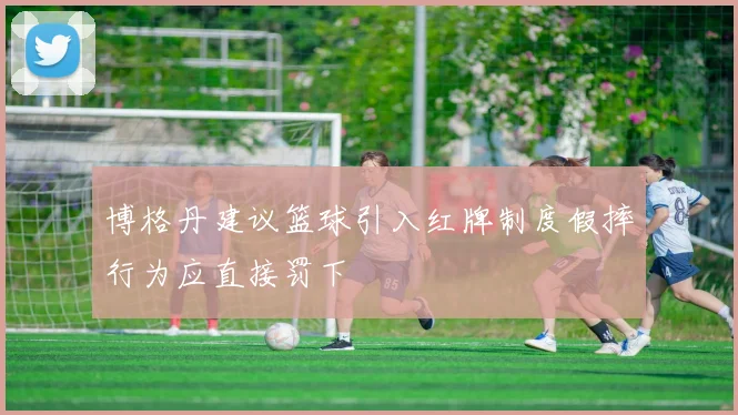 博格丹建议篮球引入红牌制度假摔行为应直接罚下